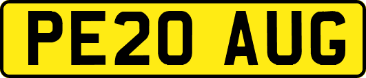 PE20AUG