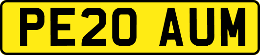 PE20AUM
