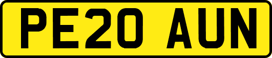 PE20AUN