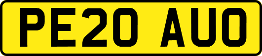 PE20AUO