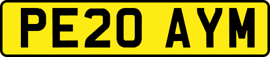 PE20AYM
