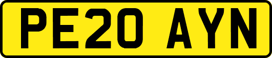 PE20AYN