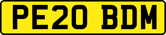 PE20BDM