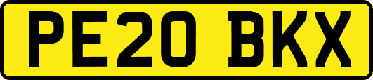 PE20BKX