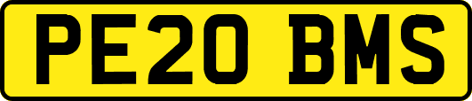 PE20BMS