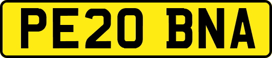 PE20BNA
