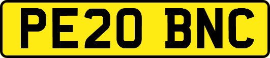 PE20BNC