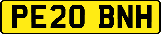 PE20BNH