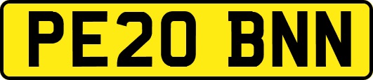 PE20BNN