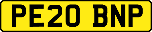 PE20BNP