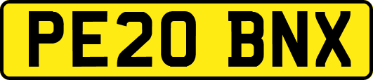 PE20BNX