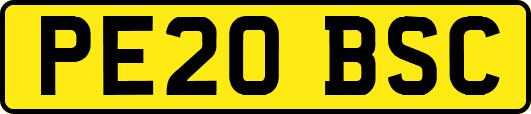 PE20BSC