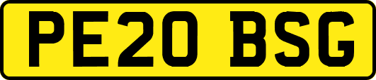 PE20BSG