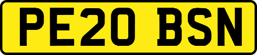 PE20BSN