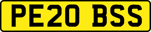 PE20BSS
