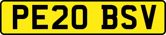 PE20BSV