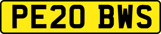 PE20BWS