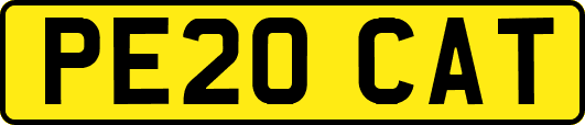 PE20CAT