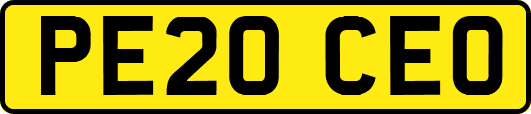 PE20CEO