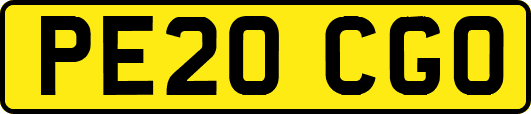 PE20CGO