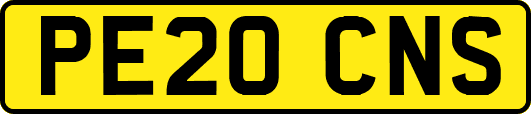 PE20CNS