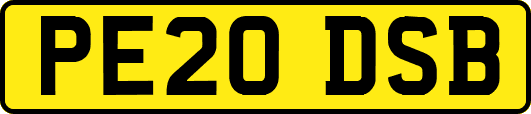 PE20DSB