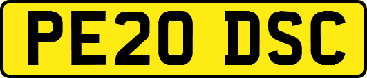PE20DSC