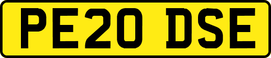 PE20DSE