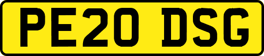 PE20DSG