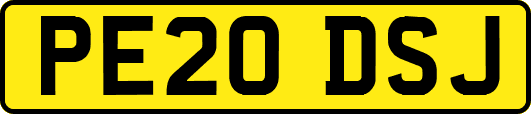 PE20DSJ