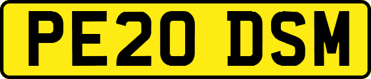 PE20DSM