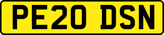 PE20DSN
