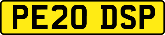 PE20DSP