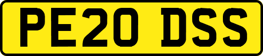 PE20DSS