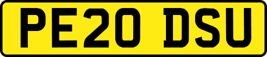PE20DSU
