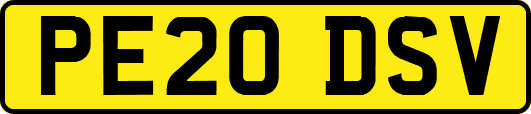 PE20DSV