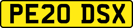 PE20DSX