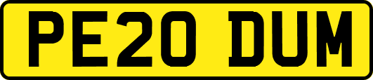 PE20DUM