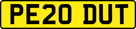 PE20DUT