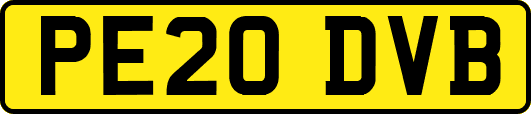 PE20DVB