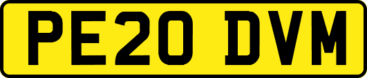 PE20DVM