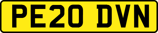 PE20DVN