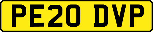 PE20DVP