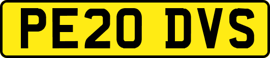 PE20DVS