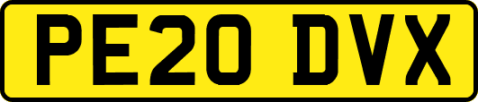 PE20DVX