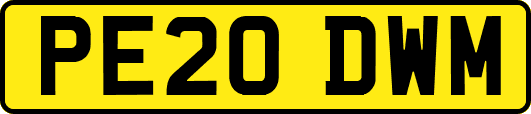 PE20DWM