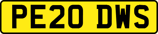 PE20DWS