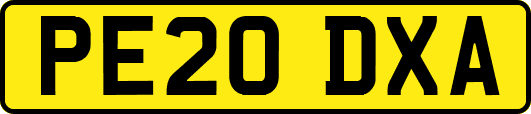 PE20DXA