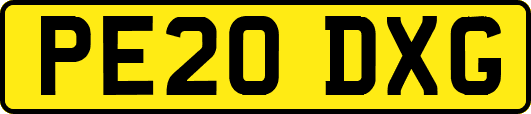 PE20DXG