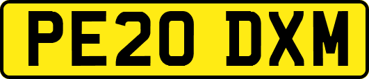 PE20DXM